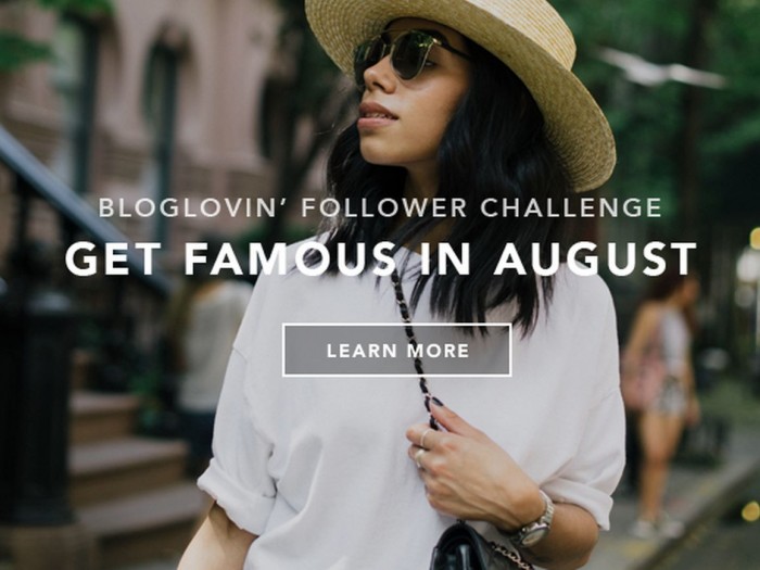 bloglovin-follower-challenge